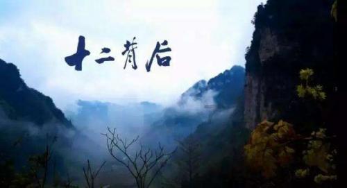 救援花卉销售员